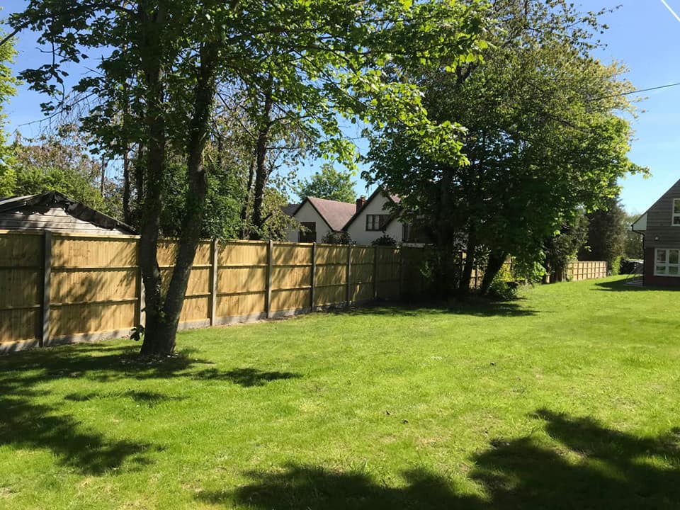 New fencing and general landscaping