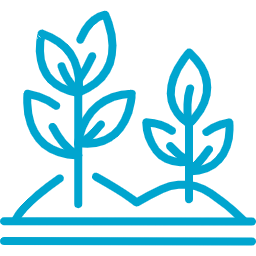 Saplings icon