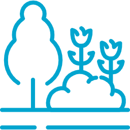 Tree and bush icon